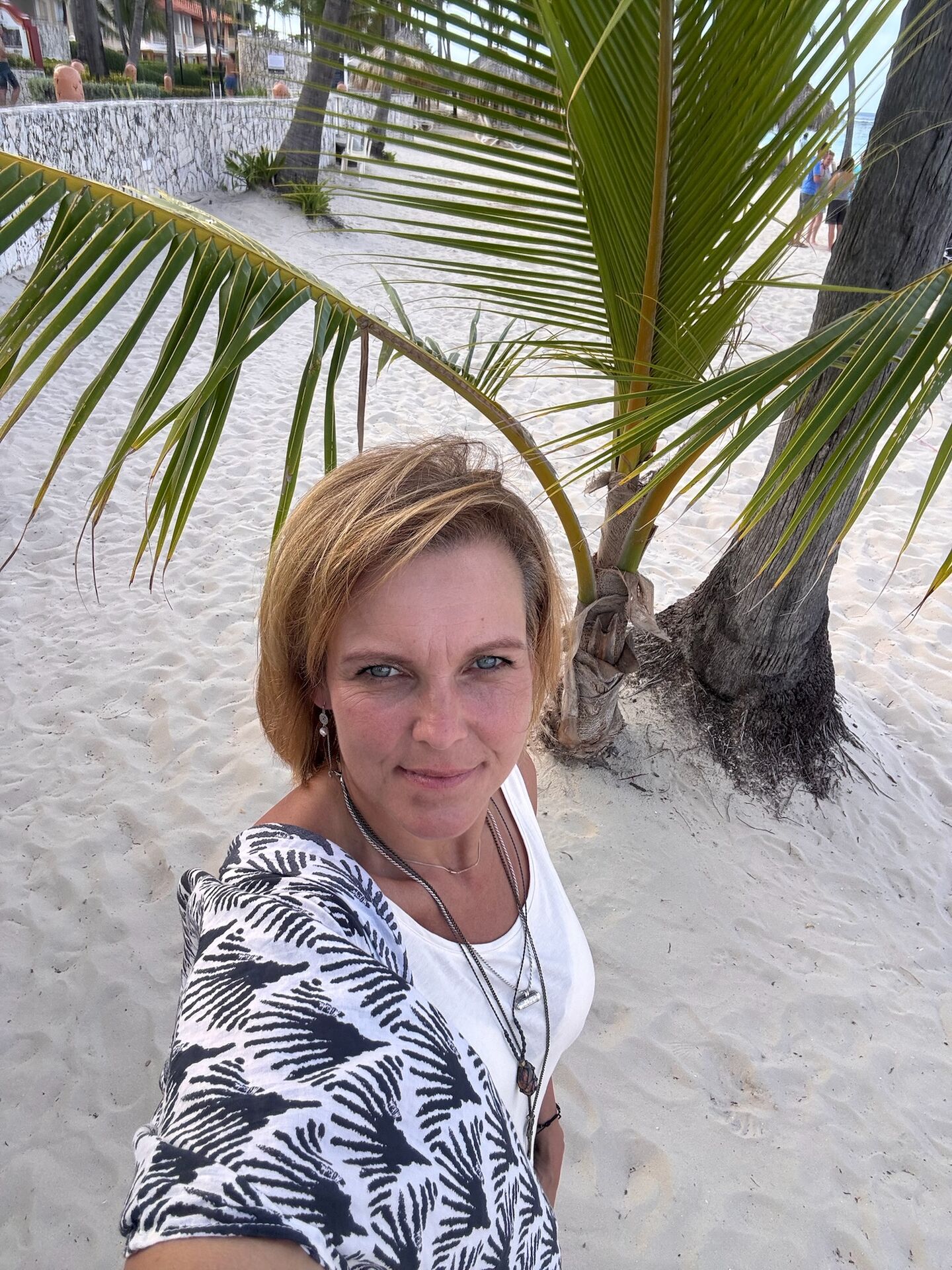 Strand mit Palme